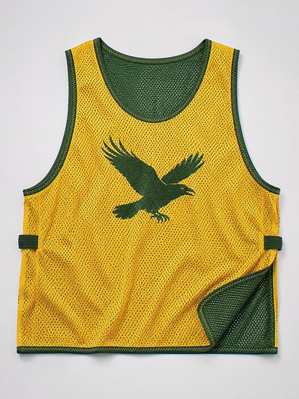 Soccer Training Bib / Pinnie